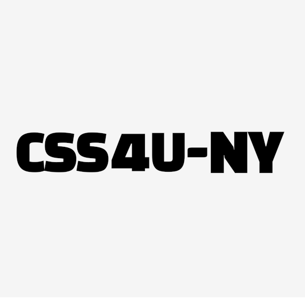 Image of Logo for CSS NY